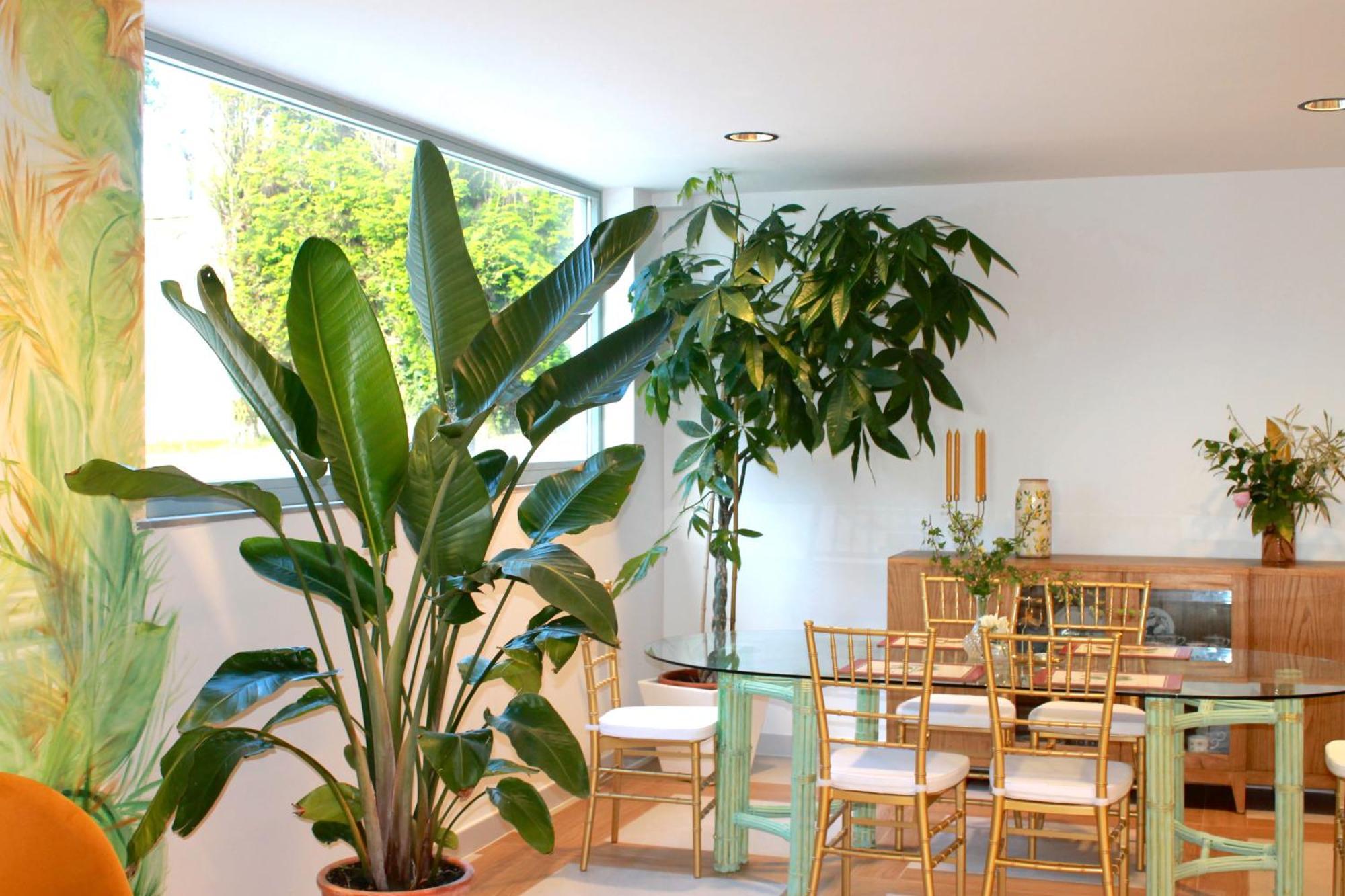Hotel Boutique Villa Del Marques Muros de Nalón Extérieur photo